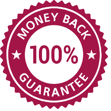 BlizzAir Portable AC Money back guarantee
